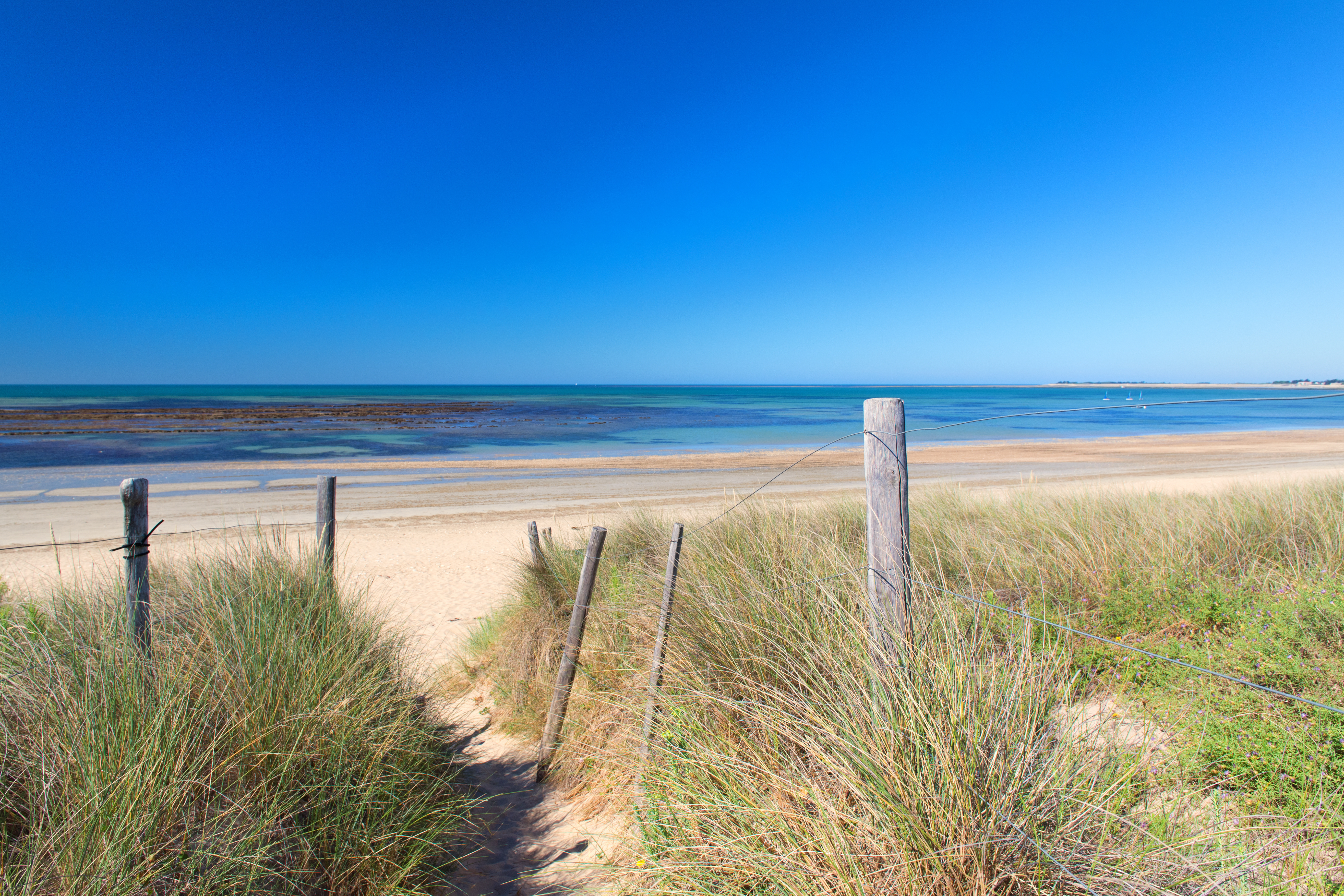 Photo plage Ile de Ré AdobeStock_225243319