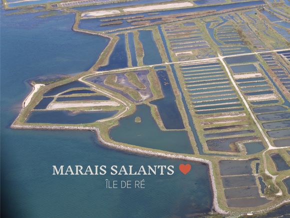 Les Marais Salants Ile de Ré Artemis Location